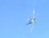 Windscreen replacement Ballarat